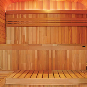 Sauna Gaia Nova, dettagli - Agua Your Oasis